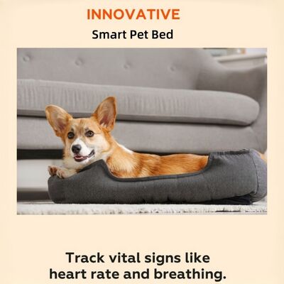 Smart pet bed met app-gebaseerde real-time tracking van hartslag ademhaling en slaap biedt veterinaire kwaliteit gezondheidsinzichten