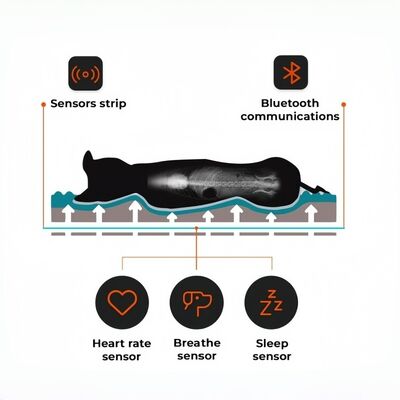 Smart Reptile Pet Bed Gezondheidsmonitor Track Hartslag Ademhaling Slaappad WiFi-bediening Buiten- en autogebruik Huisdiermat