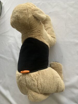 Tailleriem voor huisdieren