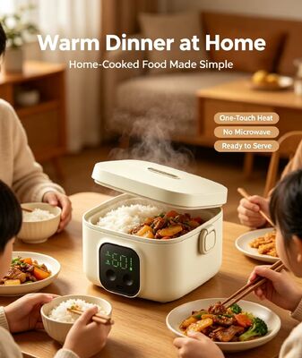 Home Electric Heating Lunch Box, Mini Portable Food Warmer, 304 roestvrij staalSnel verwarmen, ruimte besparen voor huishoudelijk familiedining