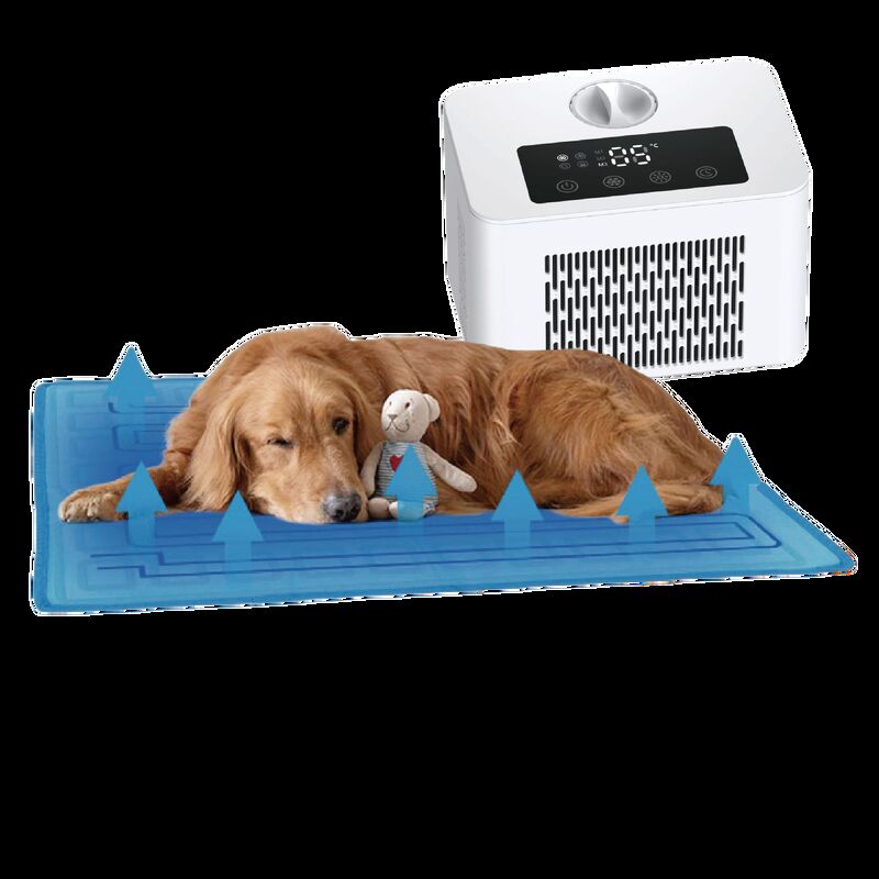 Electric Dog & Cat Cooling Mat PTC Heating Cooling System Eco-friendly PVC Material Overheat Protection All-season Use 60x45cm