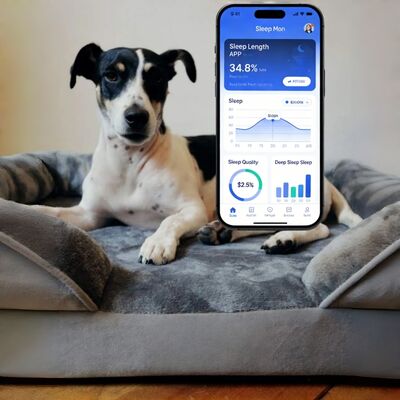 OEM Smart Dog Bed Met Gezondheid Monitoring, APP Track Slaap/Hart/Ademhaling Voor Puppy Senior Dog Gemoedsrust