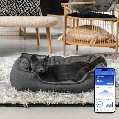 Smart pet bed met app-gebaseerde real-time tracking van hartslag ademhaling en slaap biedt veterinaire kwaliteit gezondheidsinzichten