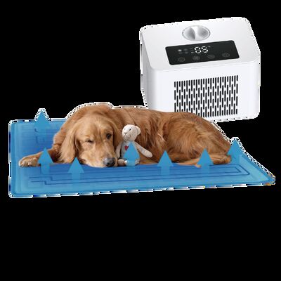 Elektrische koelmat voor honden en katten PTC-verwarmingssysteem Eco-vriendelijk PVC-materiaal Oververwarmingsbescherming Alle seizoenen Gebruik 60x45cm
